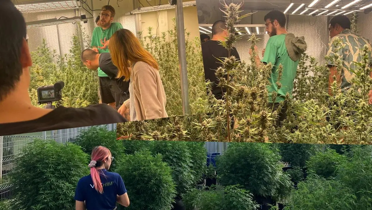 Collages3-06.jpg Our very first Spannabis