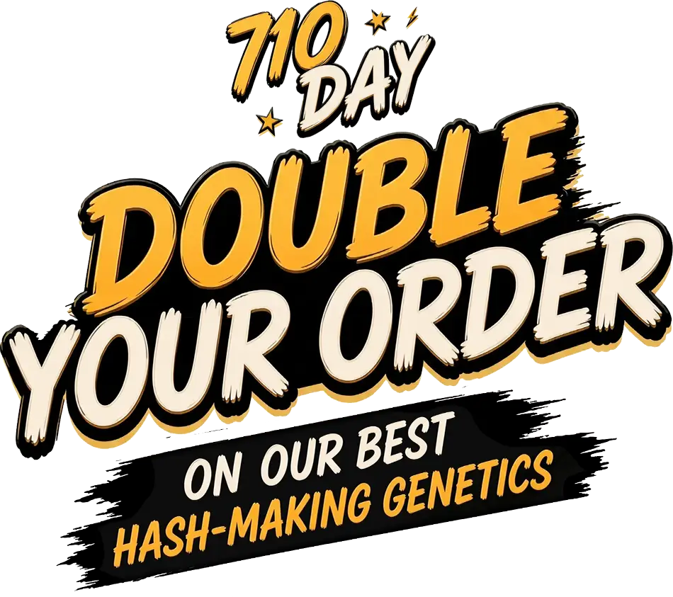 FastBuds Promo