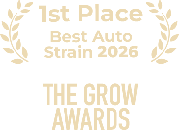 Special promo - Award Best Auto Strain 2026