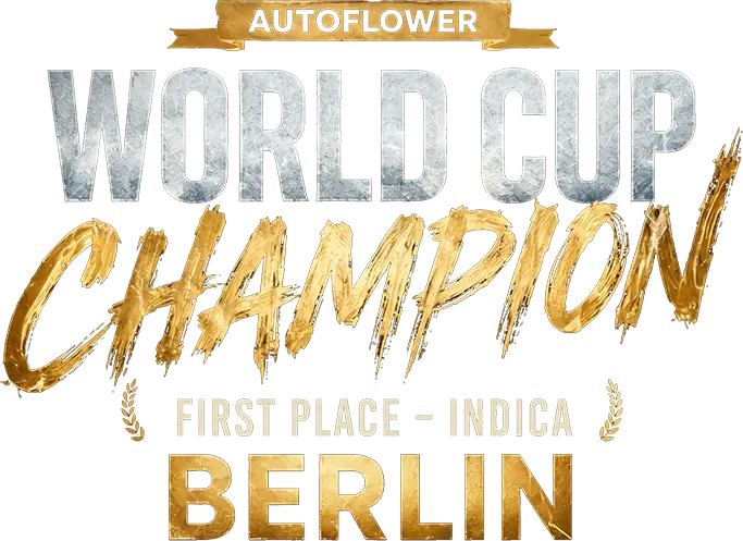 Mendo Frost Auto - Winner Title