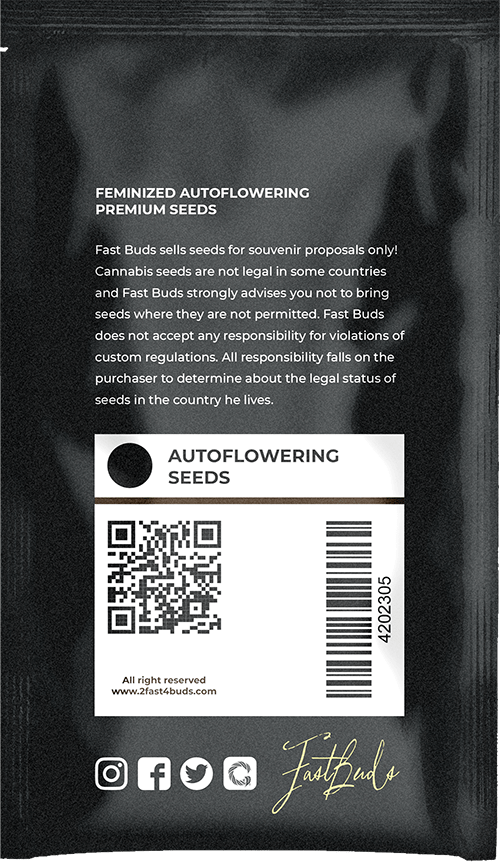 Smoothie Auto' pack backside