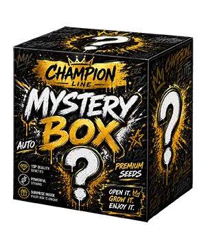 Mystery Box