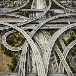 Fast Buds King of The Crop