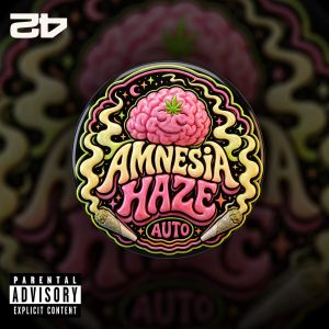 Amnesia Haze Auto
