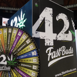 Indicasativa Trade 2019