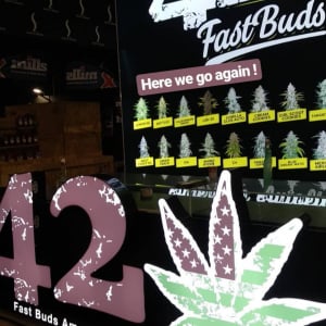 Indicasativa Trade 2019