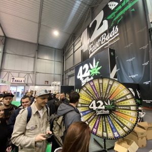 Cannafest 2019