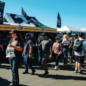 High Times - Central Valley