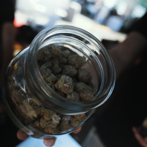 High Times - Central Valley