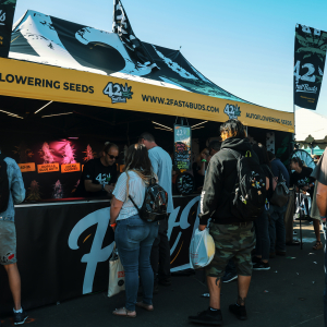 High Times - Central Valley