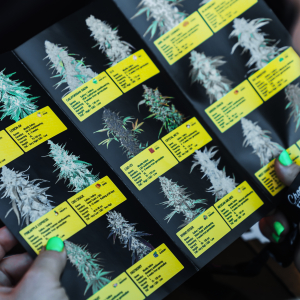 High Times - Central Valley