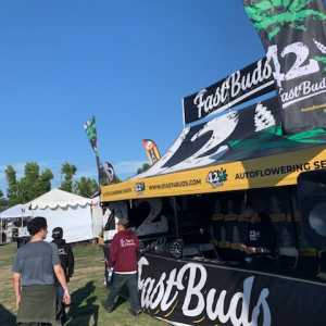 High Times - NorCal 2019