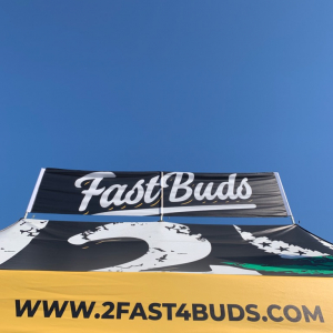 High Times - NorCal 2019