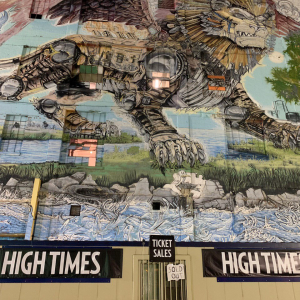 Michigan HIGHTIMES - Detroit Cannabis Cup 