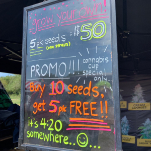 Oklahoma HIGHTIMES - OKC Cannabis Cup 