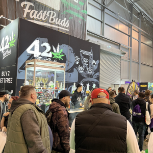 Cannafest