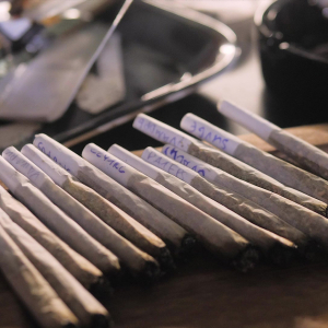 Autoflower World Cup 2022