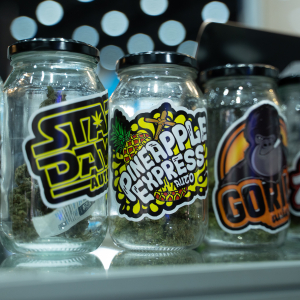 Asia International Hemp Expo & Forum 2023