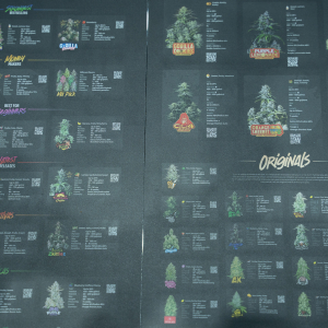 Asia International Hemp Expo & Forum 2023