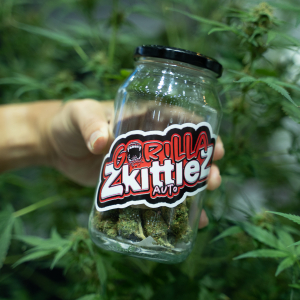 Asia International Hemp Expo & Forum 2023