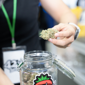 Asia International Hemp Expo & Forum 2023