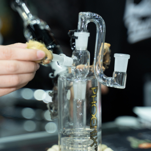 Asia International Hemp Expo & Forum 2023