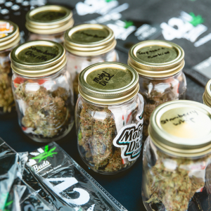 American Autoflower Cup 2024