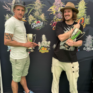 Autoflower World Cup 2024