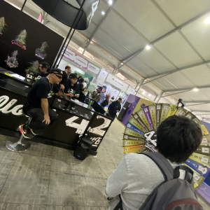 Expo Weed Chile 2023