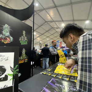 Expo Weed Chile 2023