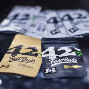 Expo Weed Chile 2023