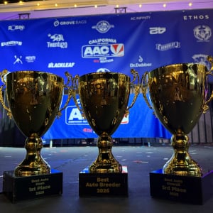 American Autoflower Cup 2026