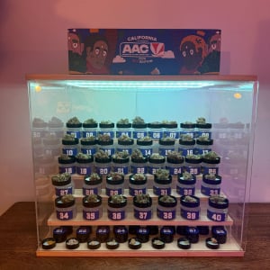 American Autoflower Cup 2026