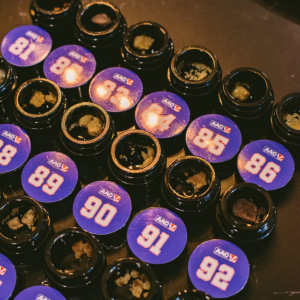 American Autoflower Cup 2026