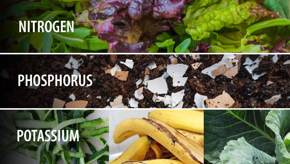 Composting: sources of NPK Composting: sources of NPK