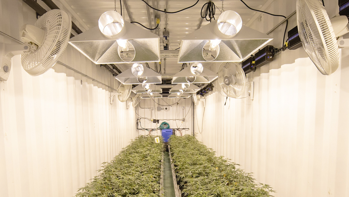 Ventilation For Grow Tent or Grow Room: Cheap And DIY Solutions - Fan grow room