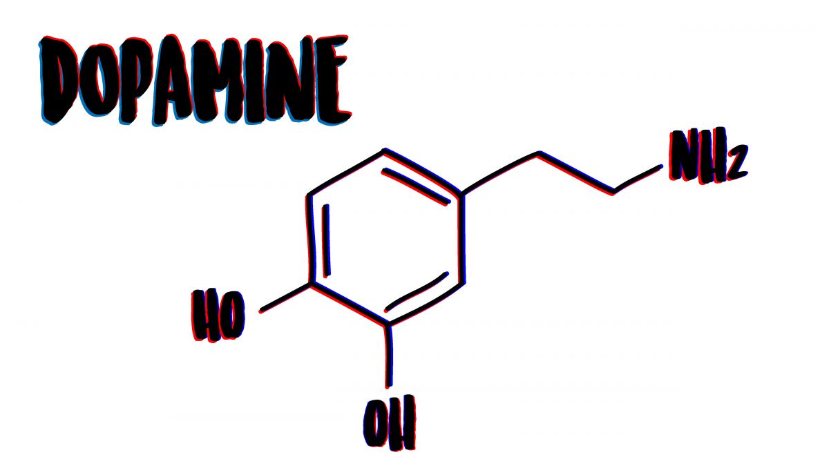 How dopamine affects the brain and addictions How dopamine affects the brain and addictions