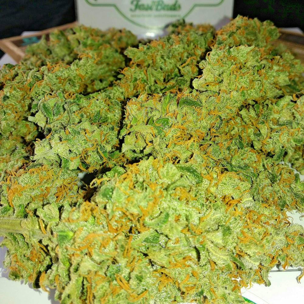 Fastbuds Green Crack by Garden of Autos.jpg