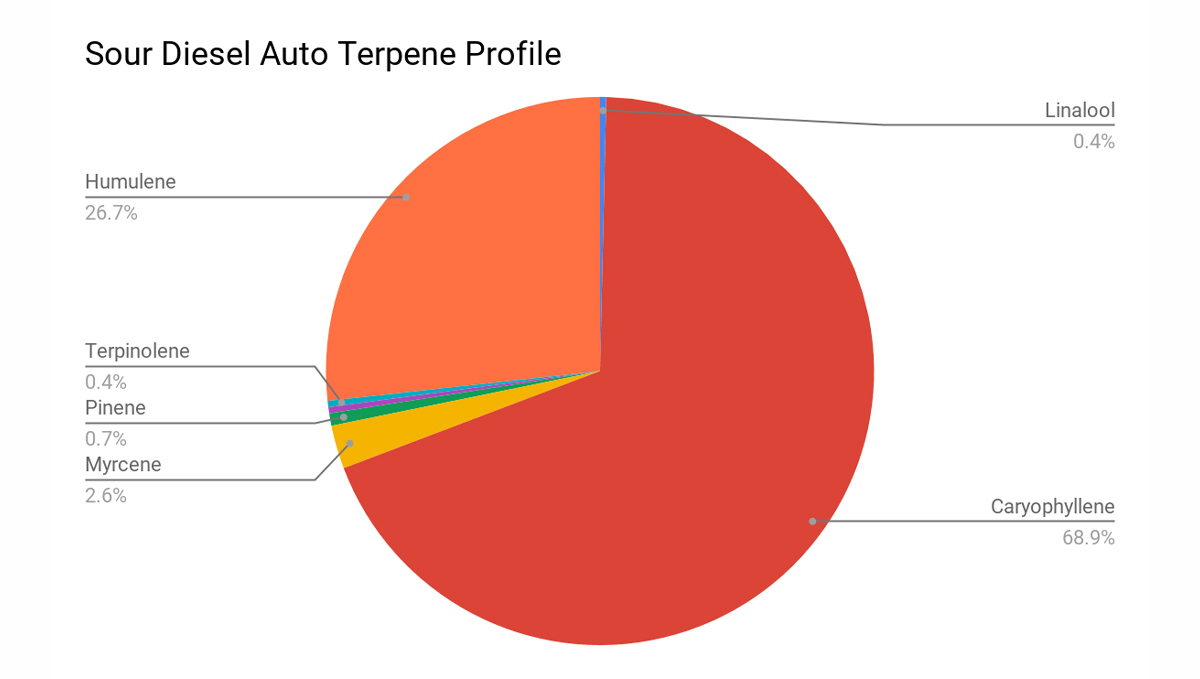 Sour diesel auto guide: sour diesel terpene profile Sour diesel auto guide: sour diesel terpene profile