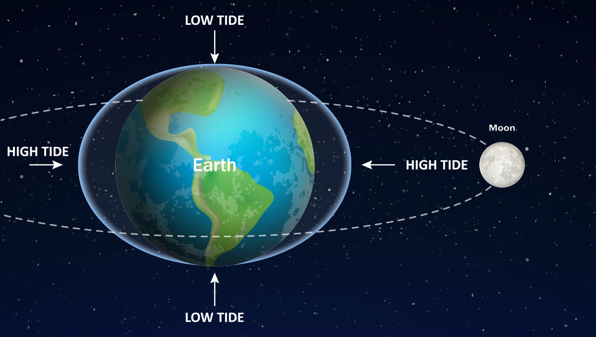 Lunar Calendar - Cannabis and the Moon | Fast Buds