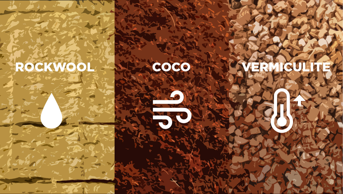 How Cannabis Plants Use Water And What To Know: Best Substrates