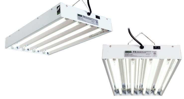 fluorescent lights to grow cannabis