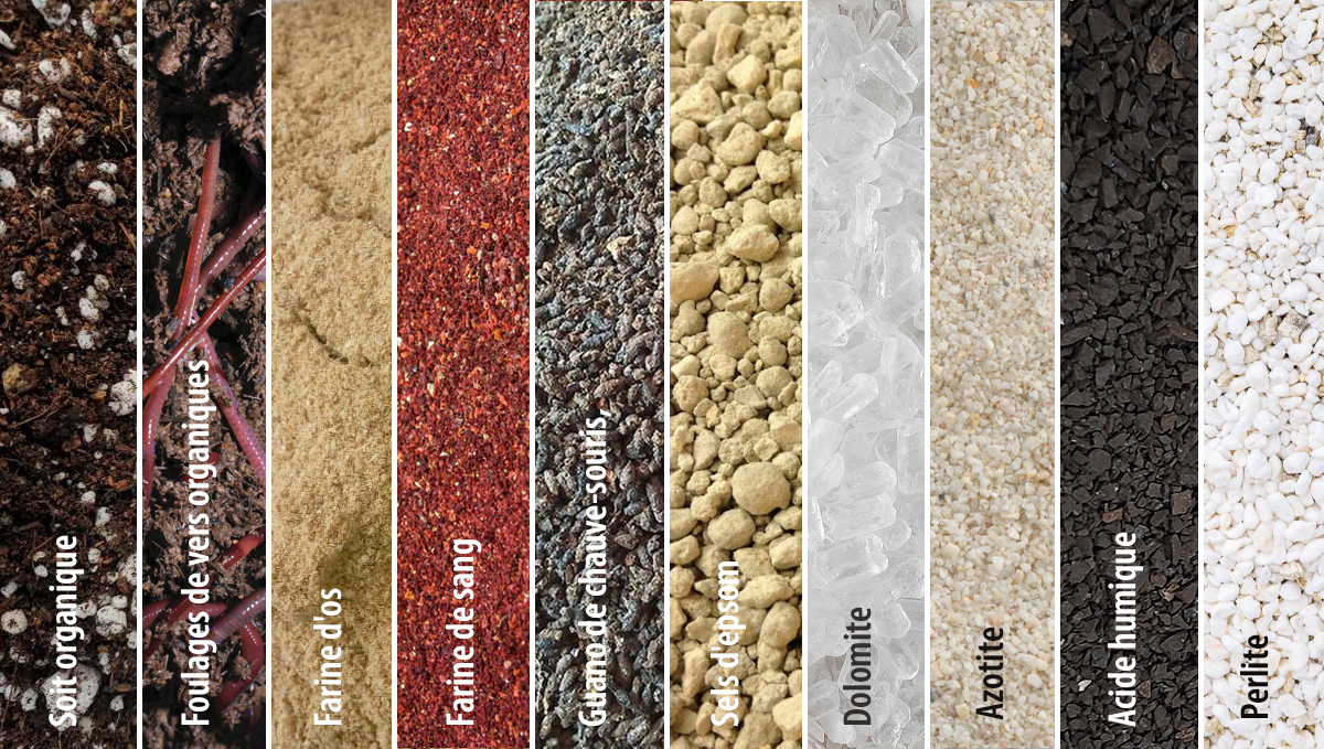 super sol pour plantes de cannabis: fournitures