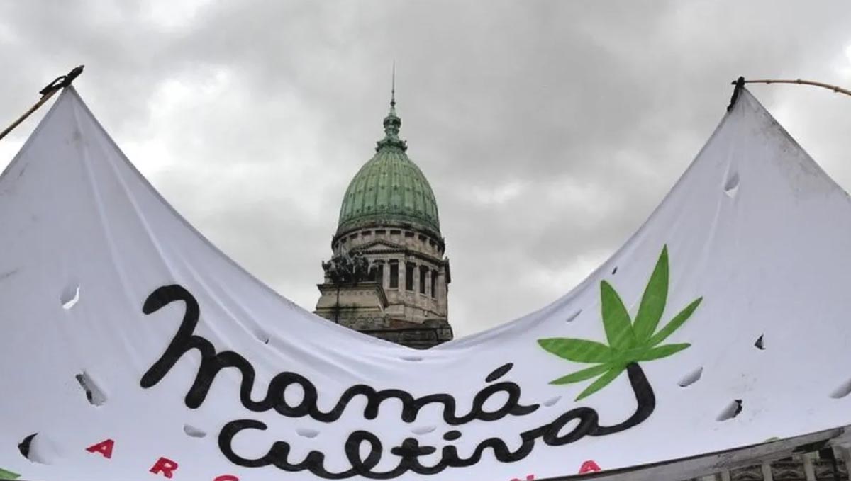 Argentina achieved the legalization of medical cannabis thanks to several manifestations.