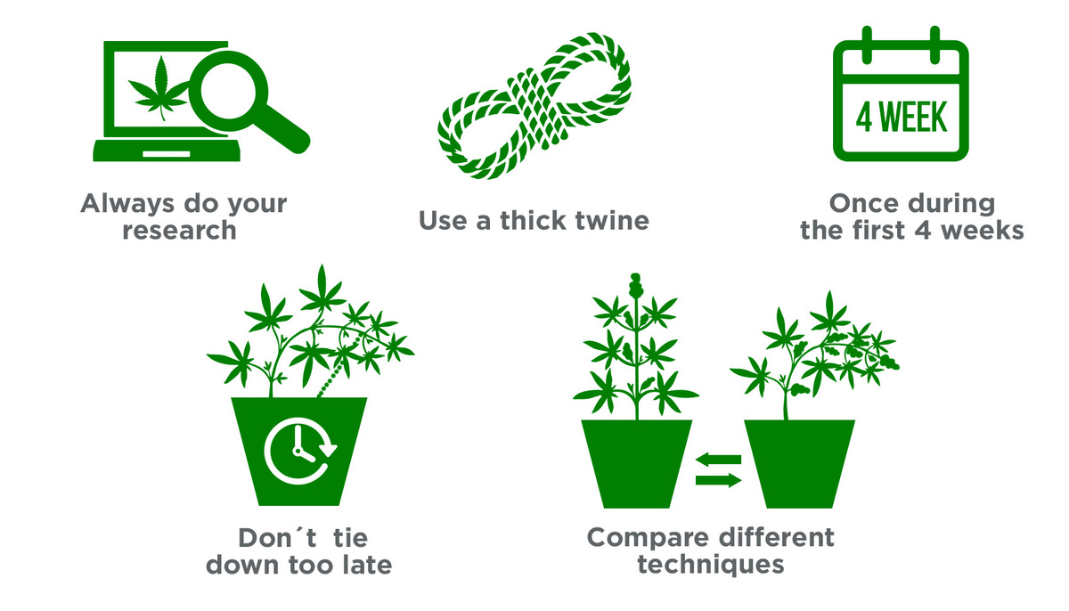 5-tips