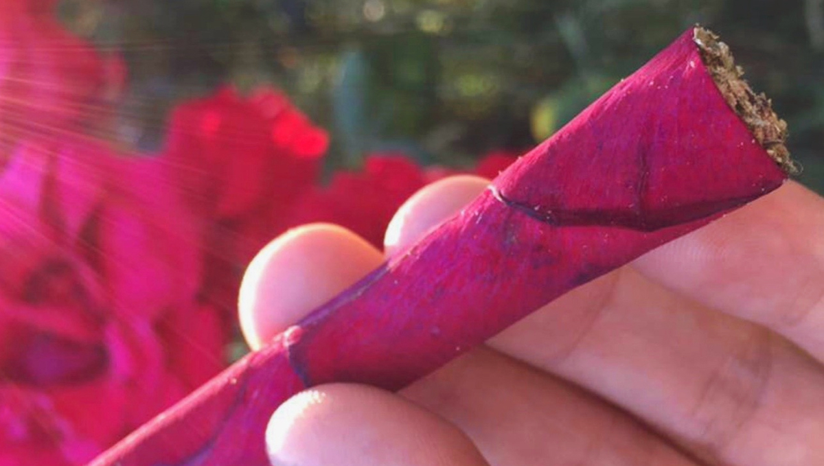 Up your blend joint game by rolling it with rose petals! Up your blend joint game by rolling it with rose petals!
