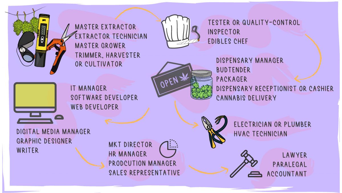 Cannabis: From Bud Tender to Master Grower: The cannabis jobs options are wider than you thought!
