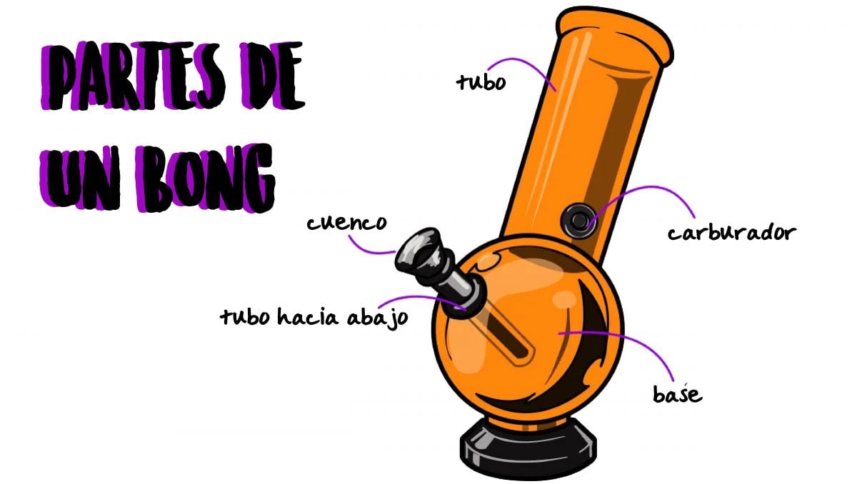 Explicando las diferentes partes de un bong.