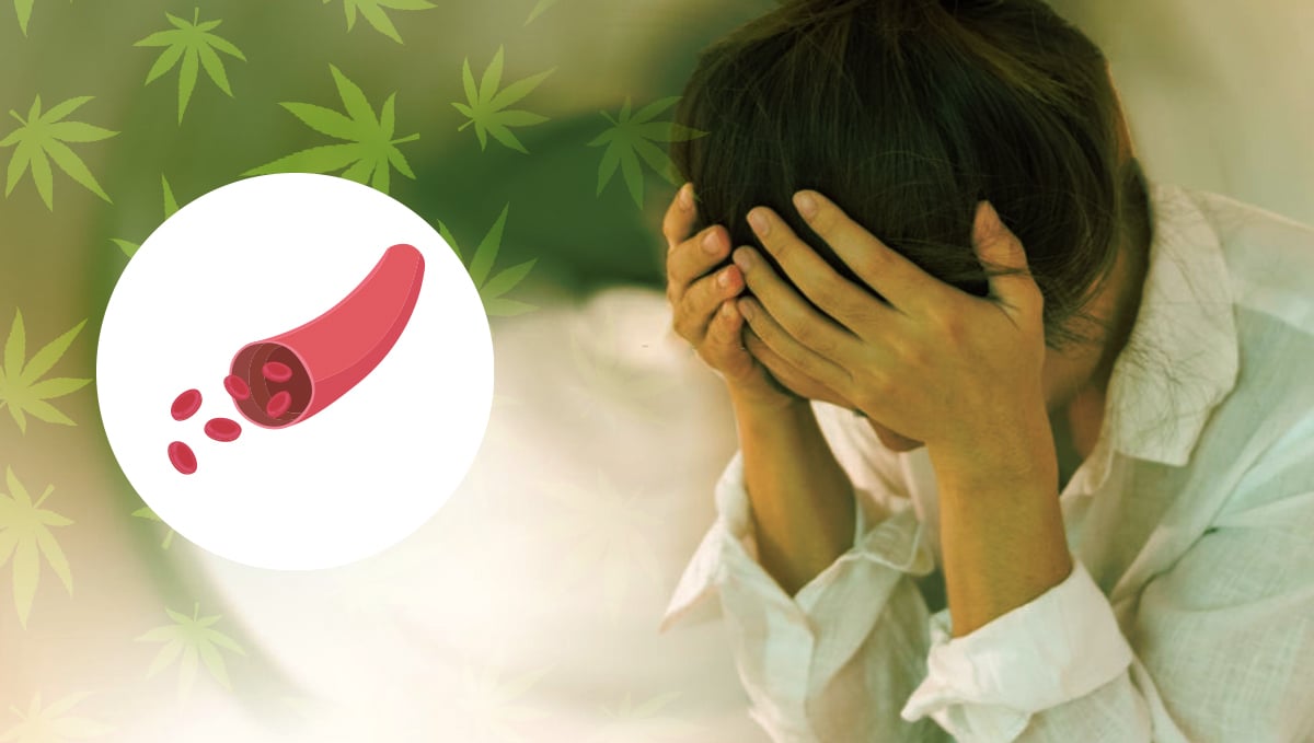 Edible can be an alternative to seizure treatment Edible can be an alternative to seizure treatment