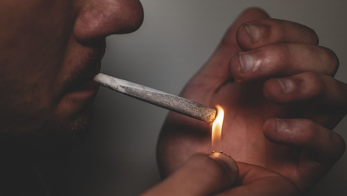 Edibles impact on your brain: intra and inter-availability